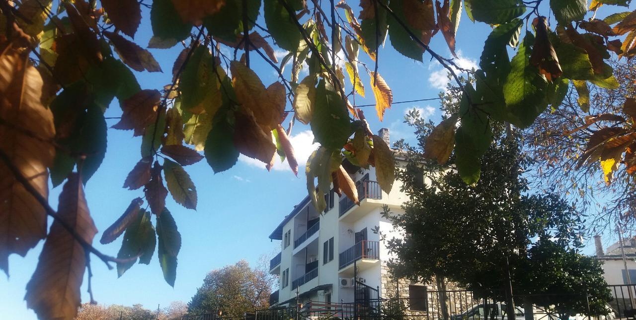 Diogenis Hotel Tsagarada Exterior photo